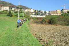 IMG_6090
